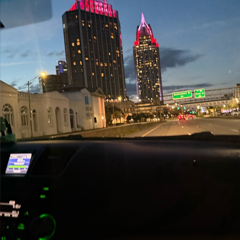 Meet your Posher, Bridgett